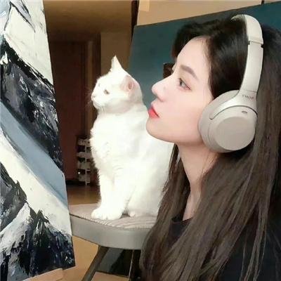 敦子求爱任务